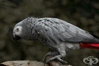 ����� �������, �� � ���������� ������ ����������